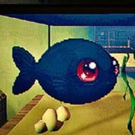 FEED THE FISH