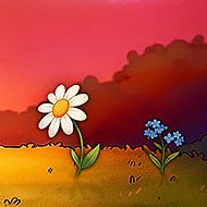 Petal by Petal